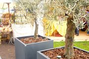 05.2010<br />Landpartie Adendorf